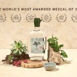 Discovering the Soul of Oaxaca: Chinga Quedito Mezcal’s Time-Honored Elixir