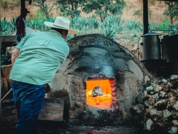 Support Small-Scale Agave Producers