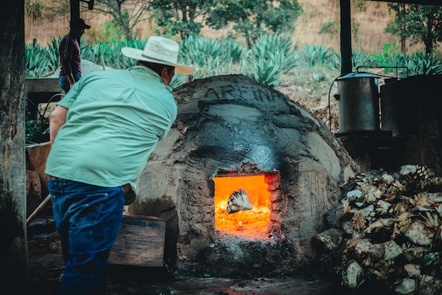 Support Small-Scale Agave Producers