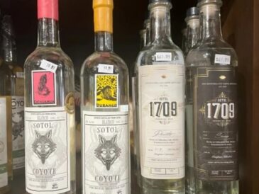 Introducing Sotol: A Guide for New Drinkers