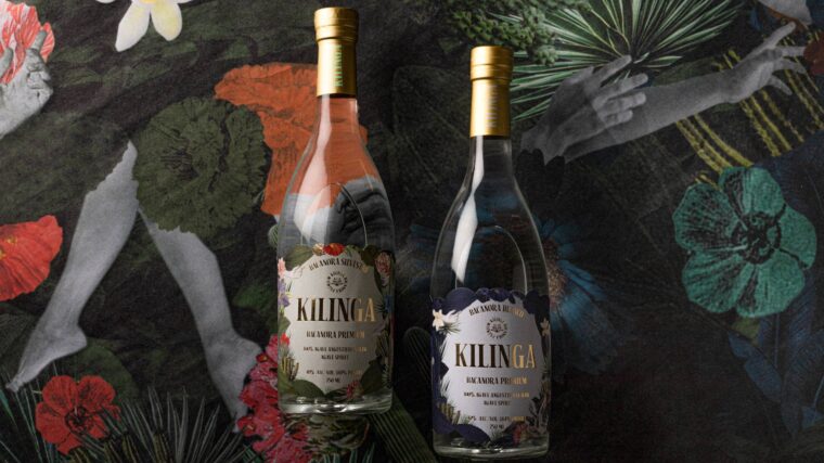 Kilinga Bacanora: A Journey into the Heart of Sonora's Native Spirit