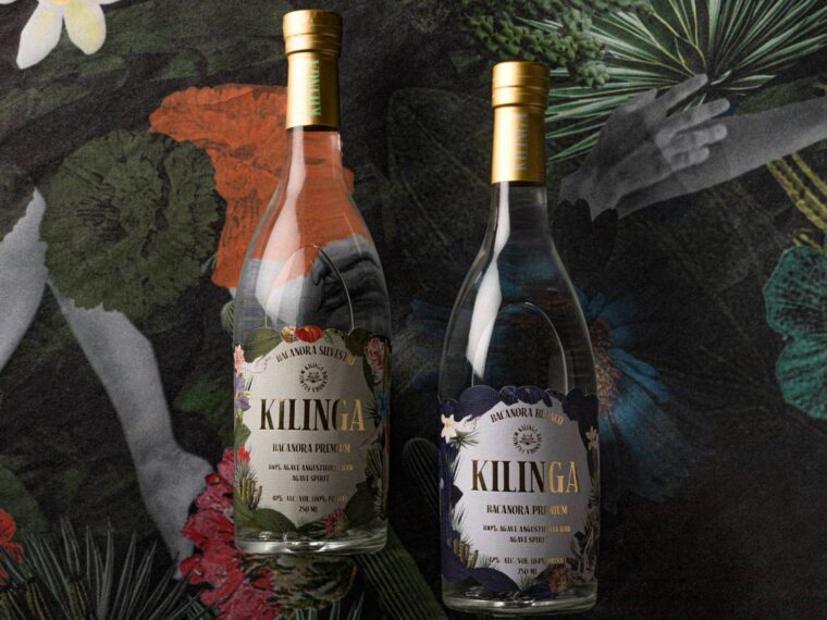 Kilinga Bacanora: A Journey into the Heart of Sonora's Native Spirit