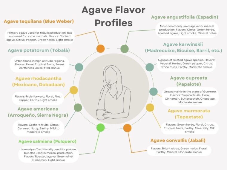 Exploring Mezcal Flavor Profiles