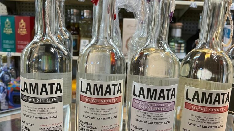 Lamata: Bringing the Flavor and Tradition of Northern Mexico to the World