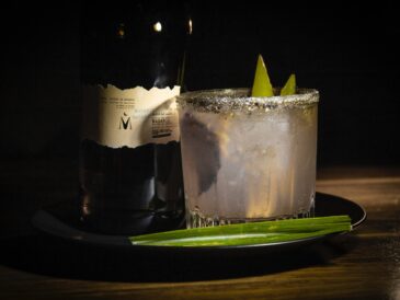 Tequila's Northern Cousin: Sotol - Mexico's Best-Kept Secret