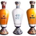 Discover the Legacy of Tequila Carrera: Crafted by 5 Generations of Maestros Tequileros