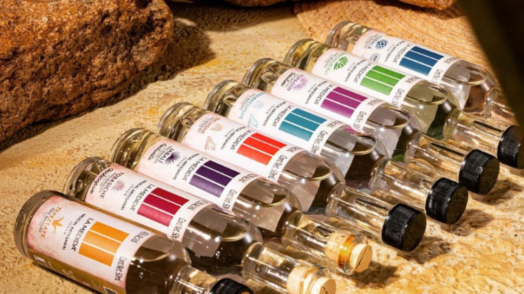 Discover the Enchanting World of La Medida Mezcal! 