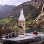 Benesin Ensamble Mezcal: An Authentic Blend of Tradition and Sustainability