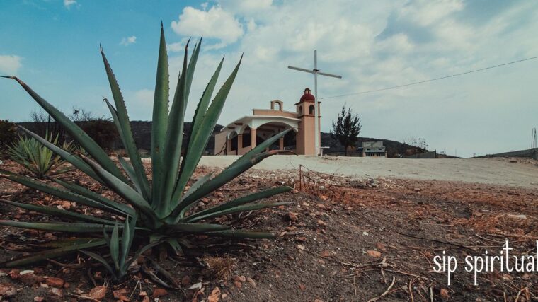 Introducing Catedral De Mi Padre Mezcal
