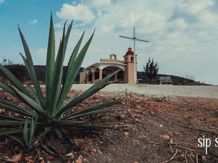 Introducing Catedral De Mi Padre Mezcal