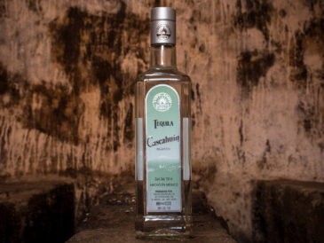 Discover the Essence of Tequila with Cascahuín