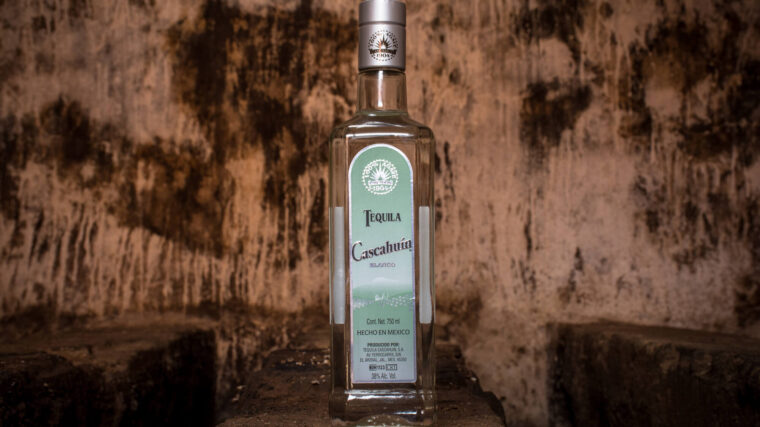 Discover the Essence of Tequila with Cascahuín