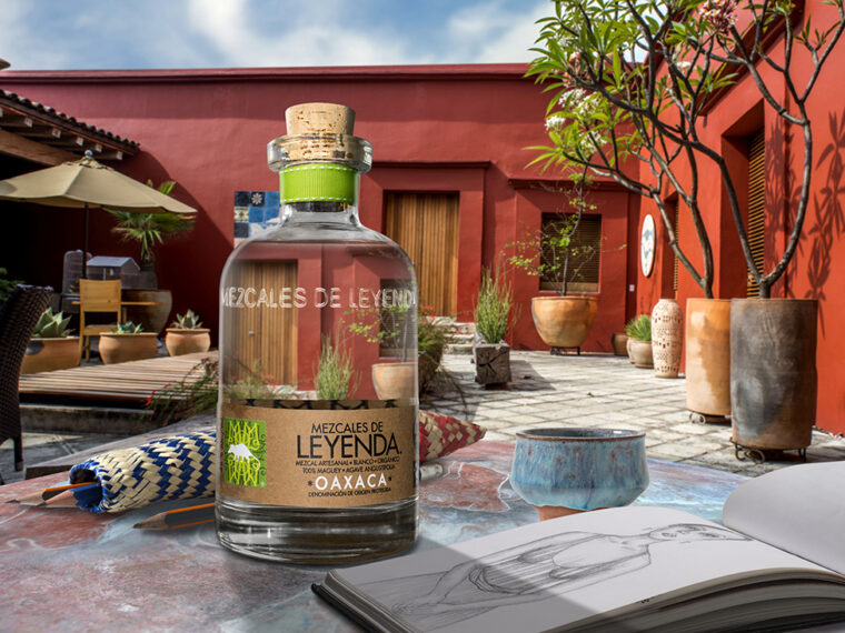 The Journey of Mezcal de Leyendas: Unraveling the Enigma of Mezcal