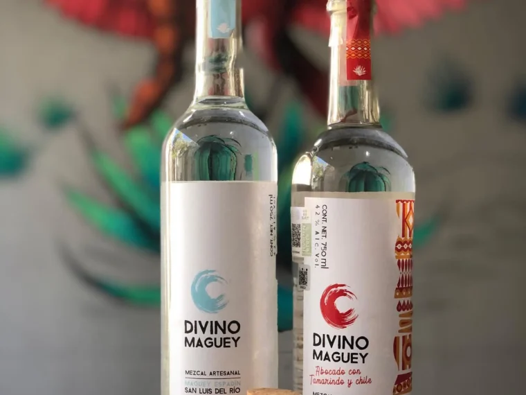 Divino Maguey: Not Just Another Mezcal, But a Symphony of Flavor and Tradition