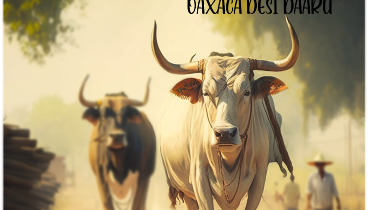 Don Jatt Agave Spirit: A Time-Honored Celebration from SF Tequila Shop