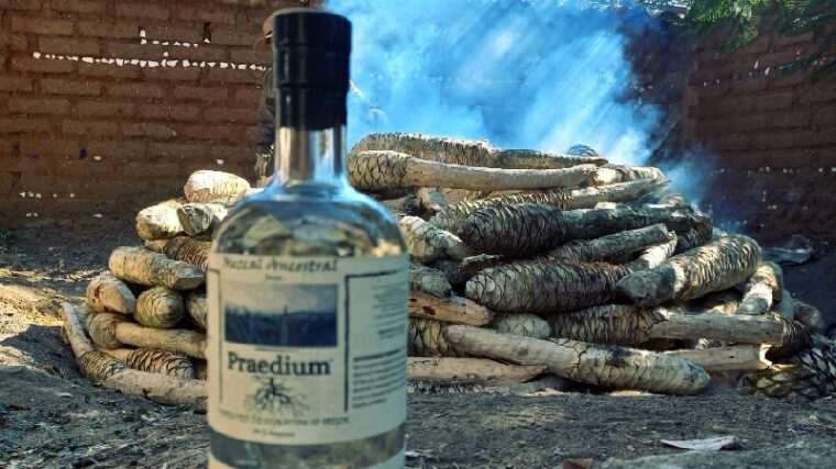 Savor the Legacy of Oaxaca with Praedium Mezcal: A Journey in Every Glass
