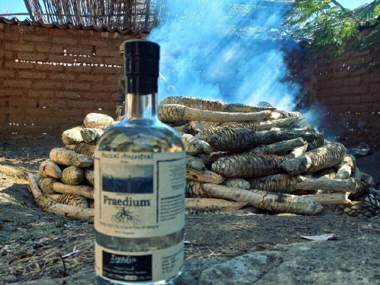 Savor the Legacy of Oaxaca with Praedium Mezcal: A Journey in Every Glass