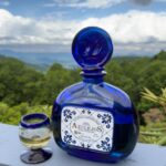 The Journey of Mezcal de Leyendas: Unraveling the Enigma of Mezcal